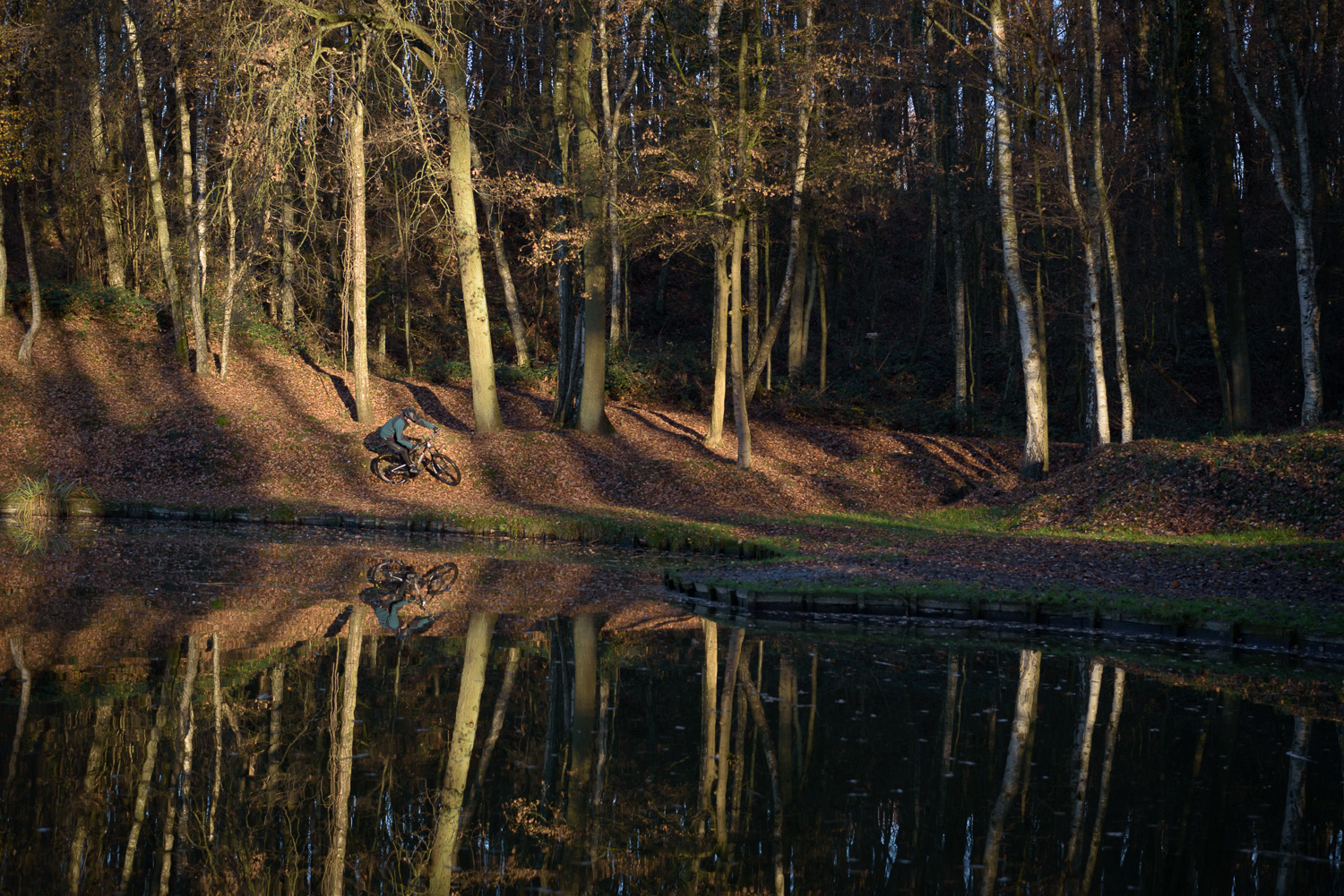 Bel image réalisé avec les connaissances apprises durant les cours photo
